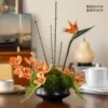Crane's Cry in the Orchid
