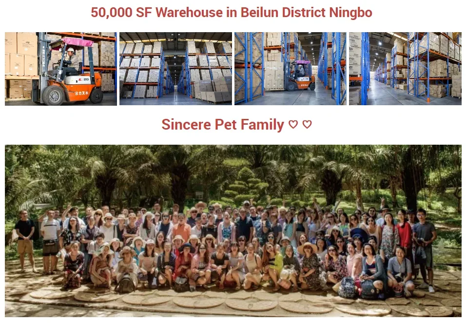 Custom Bite Resistant 9cm Bite Interactive Pet Ball Chew Dog Toy Etpu