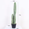 Bonsái de cactus de cinco puntas y tres cabezas de 77 cm