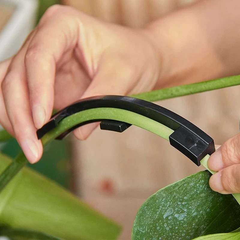 Plants Fruit Trees Branch Pulling Device Twist Branch Potted Plant Shape Bending Tool Hold Clip to Pull Open Angle Branches