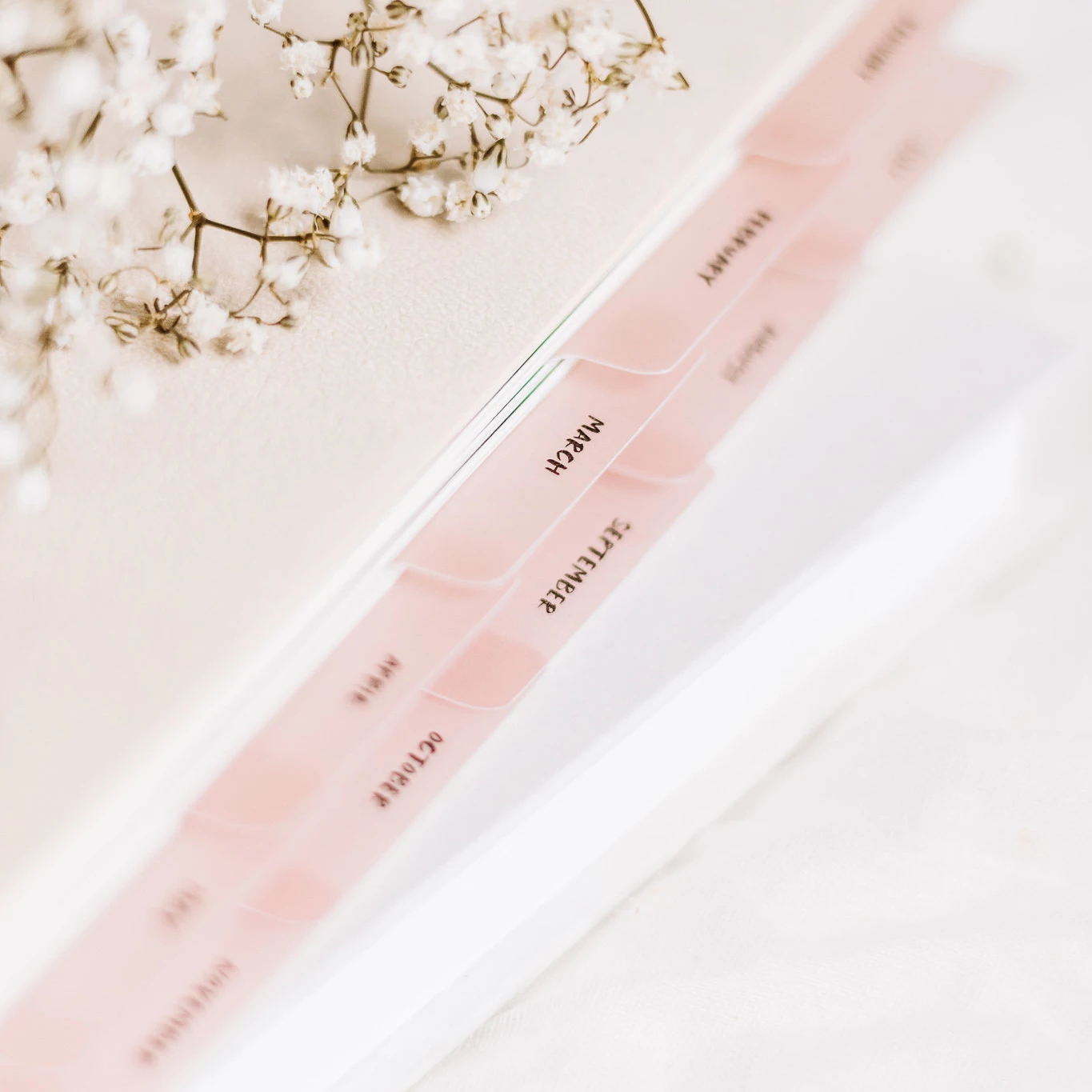 Custom 20242025 Annual Planner Monthly Tab Divider Buy Custom