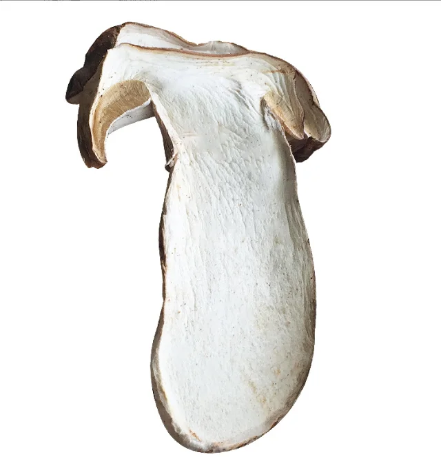 Сушеные съедобные грибы porcini Пенни-булочка для продажи Niu gan jun