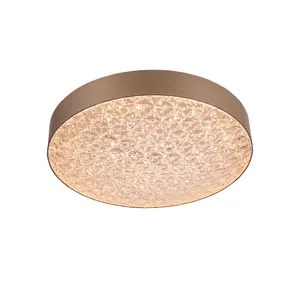 Modern Indoor Design Lighting Decorative Panel Lighting Round Shape Led Plastic Ceiling Light Lamps