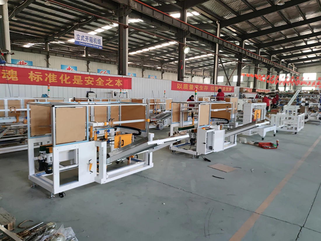 High Speed Case Erector and Packer with Conveyor (siemens)