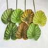 Philodendron-BIG - Vert