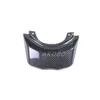 Rear light lens-dry carbon