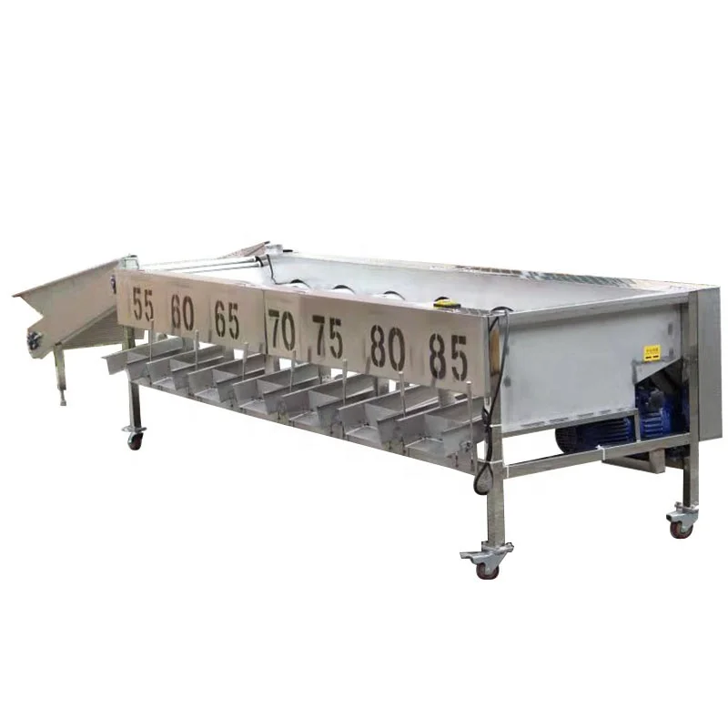 
 Автоматическая сортировочная машина для фруктов, апельсинового ореха, сортировочная машина для размеров фруктов  