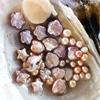 Mostro di perle aliene ostrica (Stelle/Luna/Amore/Fiore circa 3-5 pezzi)