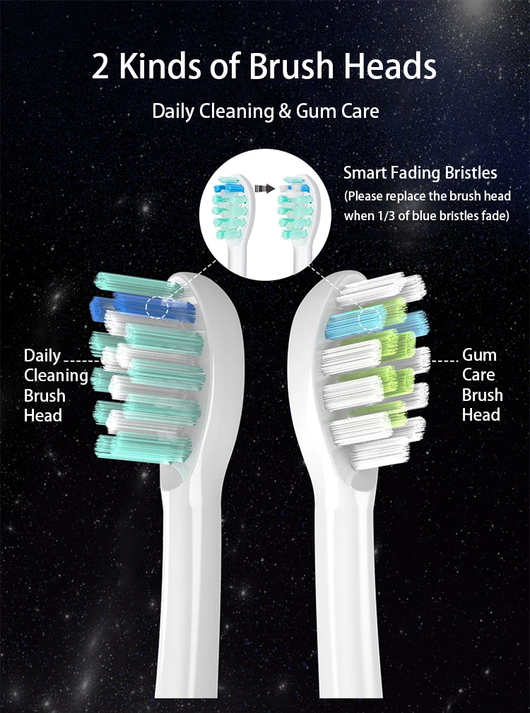 Private Label Smart Electric Toothbrush Rechargeable China Portable