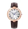 6 Rosa Argento Marrone