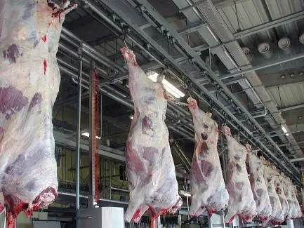Butchers Meat Hanging Rails for Slaughterhouse