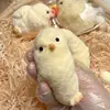 rebaño de gallina vieja