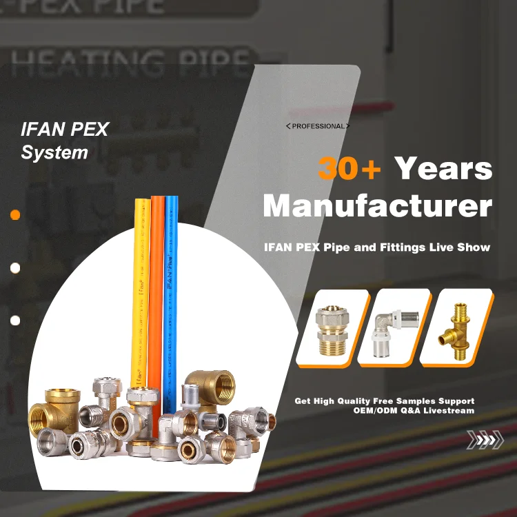 Ifan Pex Ppr Brass Manufacturer Hot Products Recommendation Product