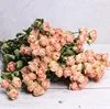 Rose-2