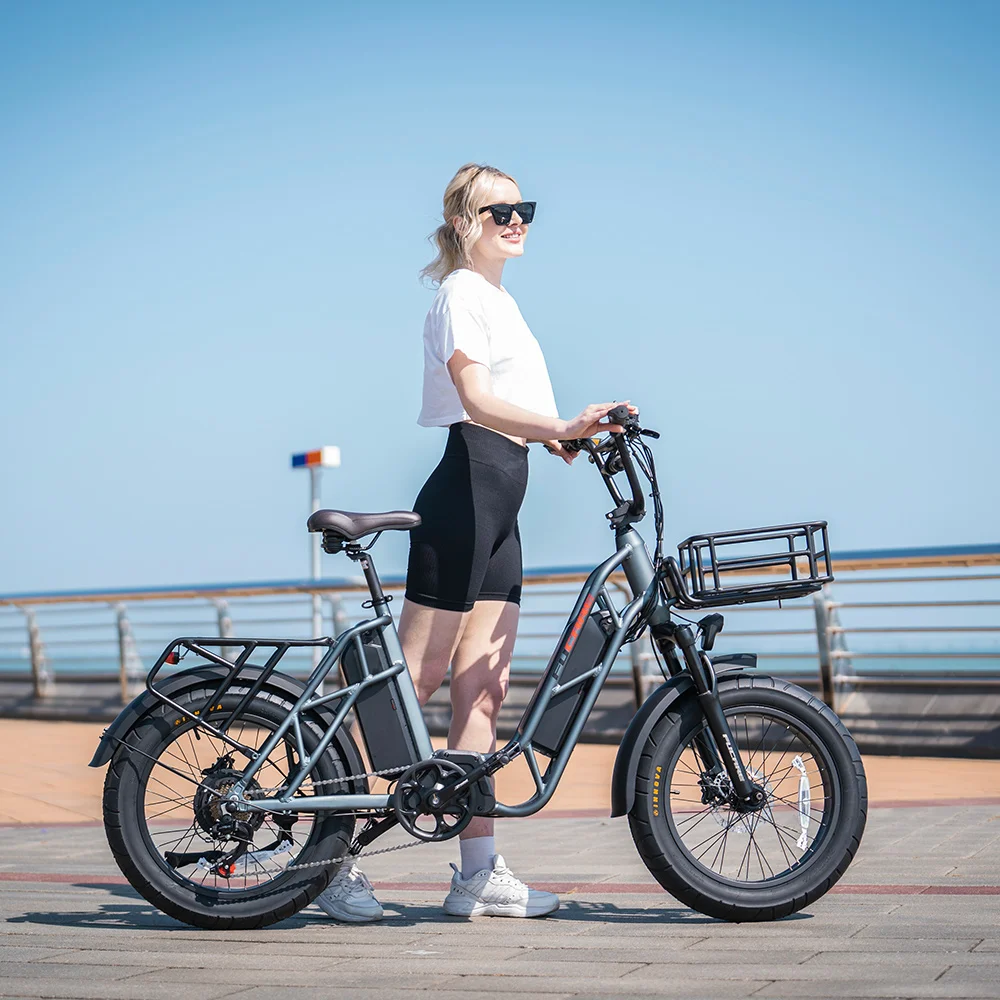 frame electric bike