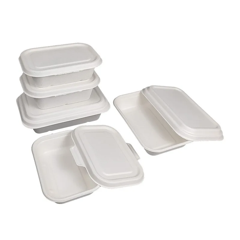 Degradable Tableware Bagasse Disposable Takeaway Lunch Box with Buckle Fully Degradable Cutlery