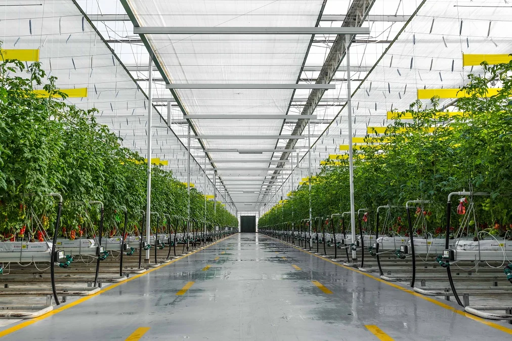 Qingdao Haofeng Kunsheng Modern Agricultural Development Co., Ltd. 2
