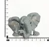 African elephant
