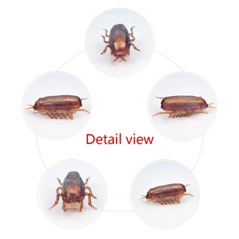 Funny Electric Bugs Cat Toy - Automatic Battery Operated Insect Toys for Cats - Interactive Cockroach & Ladybug Pet Supplies Funny Electric Bugs Cat Toy - Automatic Battery Operated Insect Toys for Cats - Interactive Cockroach & Ladybug Pet Supplies