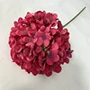 Rose rouge