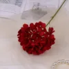Red rose
