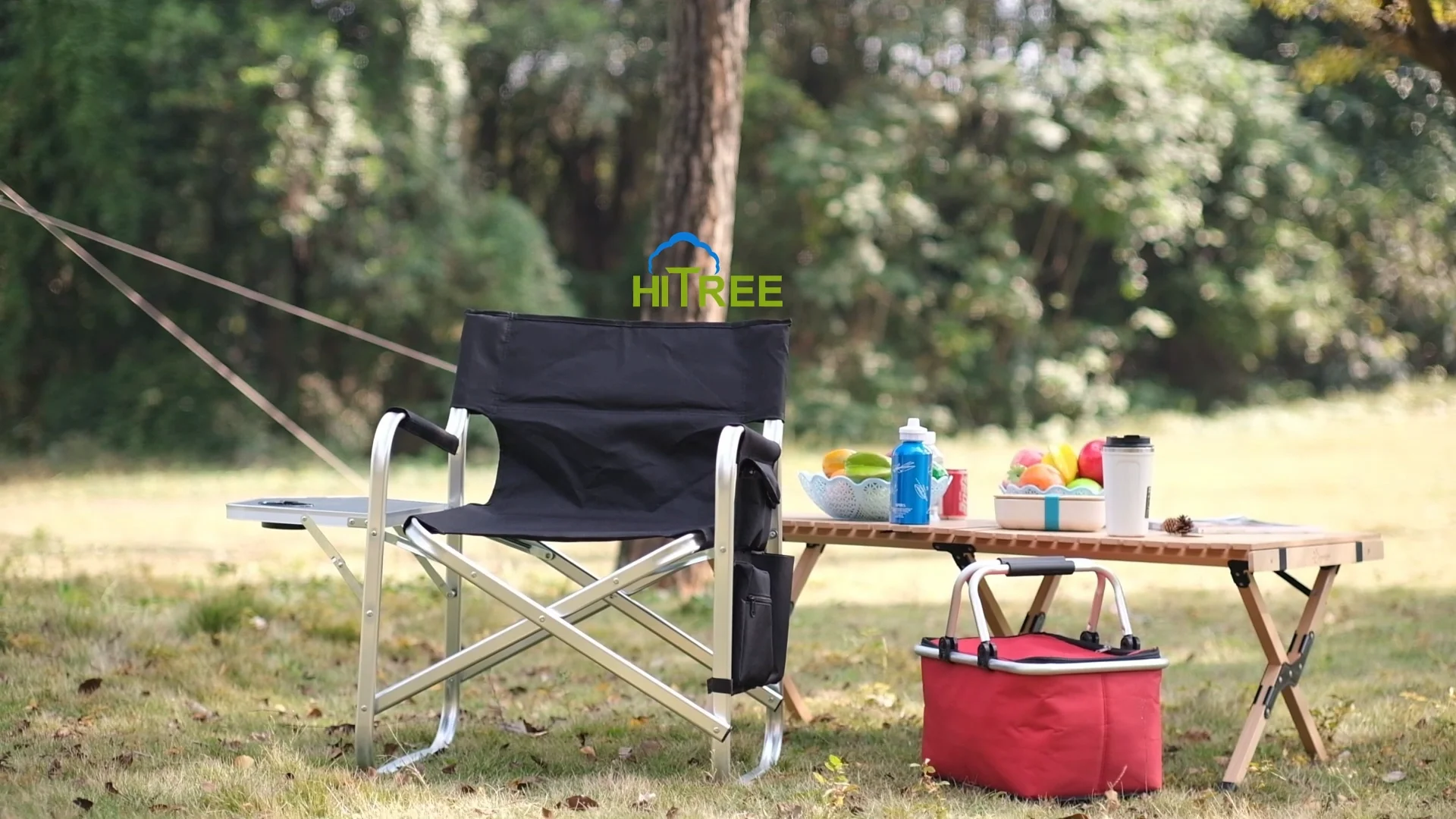 Portable Folding Director Chair With Side Table And With Headrest