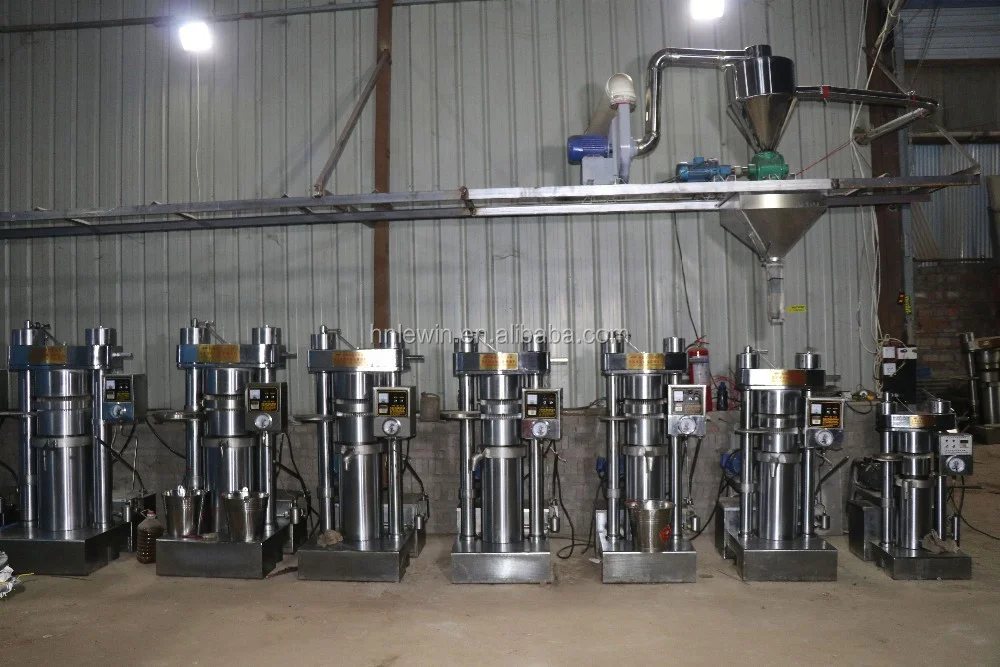 Automatic Cold Coconut Oil Press Machine Sunflower Oil Presser for Palm Soybean Almond Sesame Oils