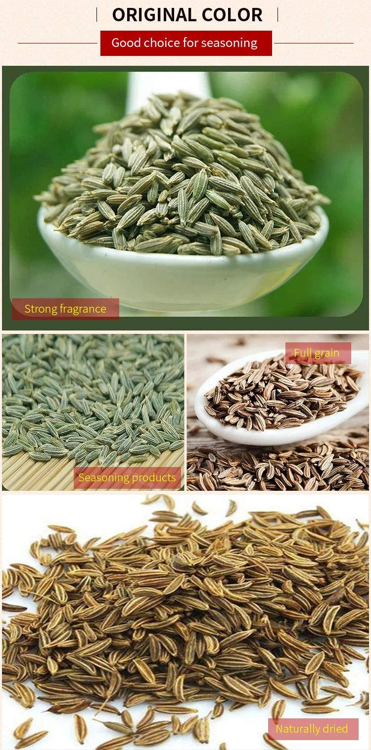 Wholesale Price High Quality Single Spices & Herbs Nature Cumin Seeds Buy Cumin high Quality