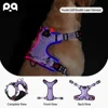 Purple (LED illuminated double-layer chest and back brace)