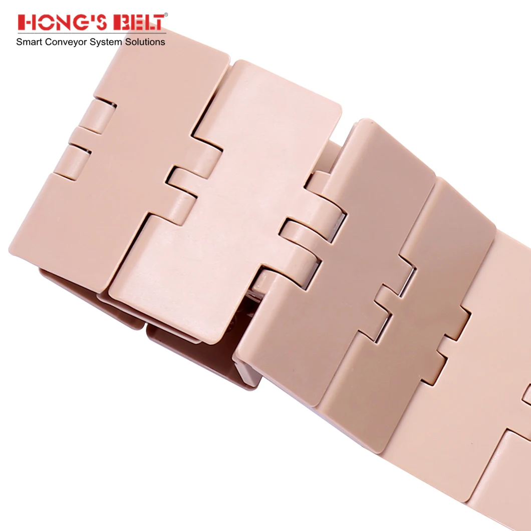 Hongsbelt HS-820-K325 Side Flexing Plastic Chain Table Top Chain - China  Flat Top Chain, Slat Top Chain