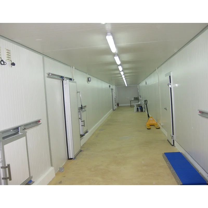 Logistics Food Freezer Cold Storage Walk in Cooler and Freezer Quick Freezer Large Cold Storage Logistics Posit Cold Room