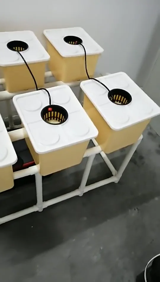 Hydroponics Growing System Plastic Bato Dutch Bucket Plastic Buckets