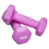 1kg*2