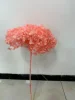 rosa pesca scuro