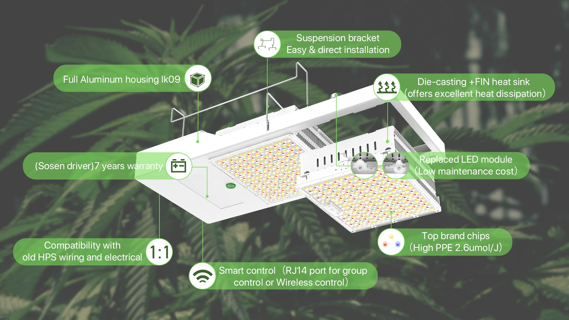 1000w Hps Replace Full Spectrum 800w Smd Thailand 4 6 8 Bar Indoor Led