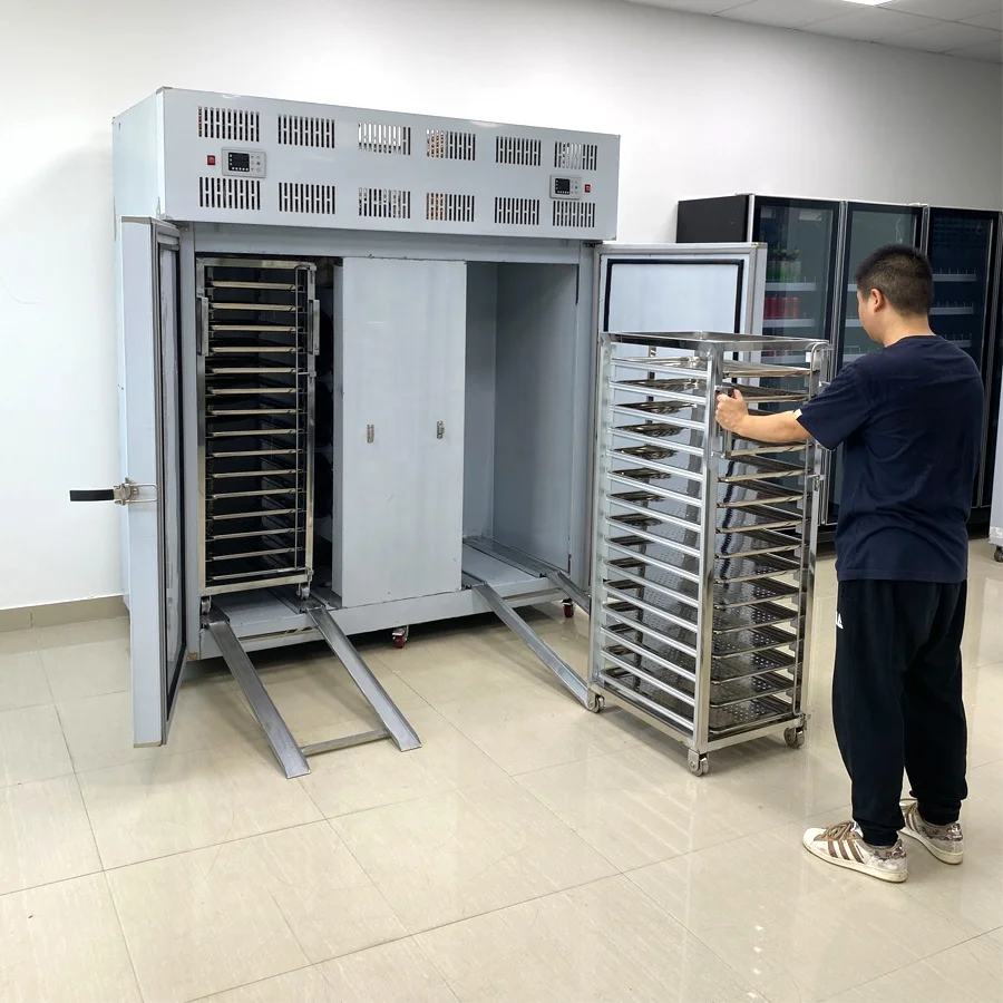 Commercial -60 Degrees Automatic Plate Freezer Refrigerator Fish Tunnel Blast Freezers for Fish