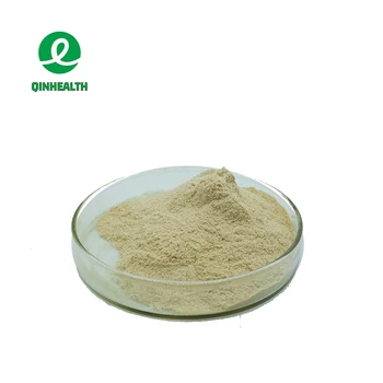 High Quality Food Supplement Ginger Extract Powder Gingerol Powder