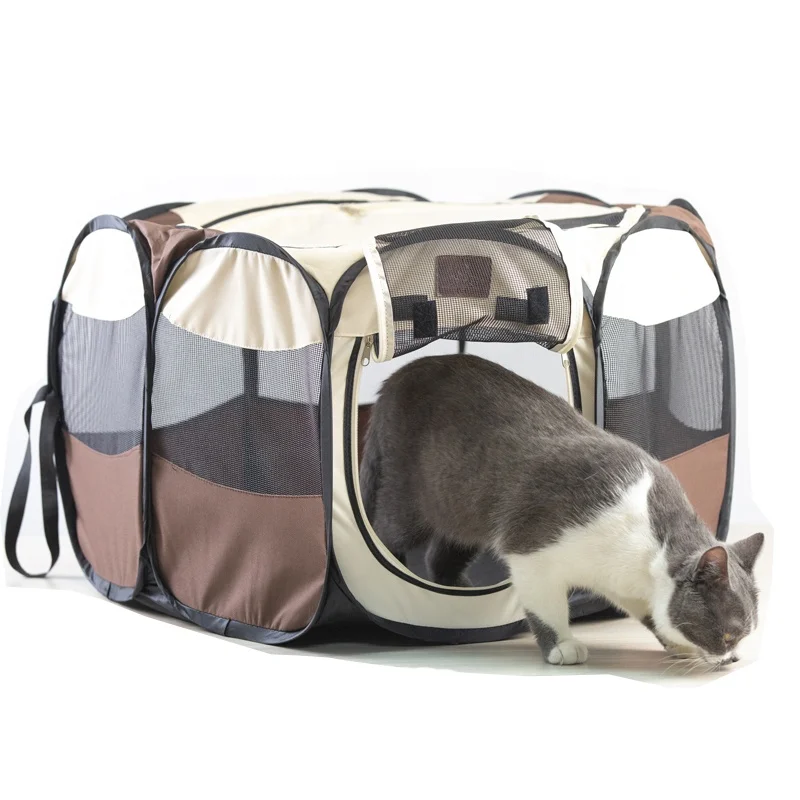 The Perfect Playpen for Your Energetic Pal