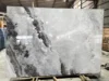 Pittura a Inchiostro Bianca