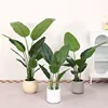 Bryum traveler banana-90 cm