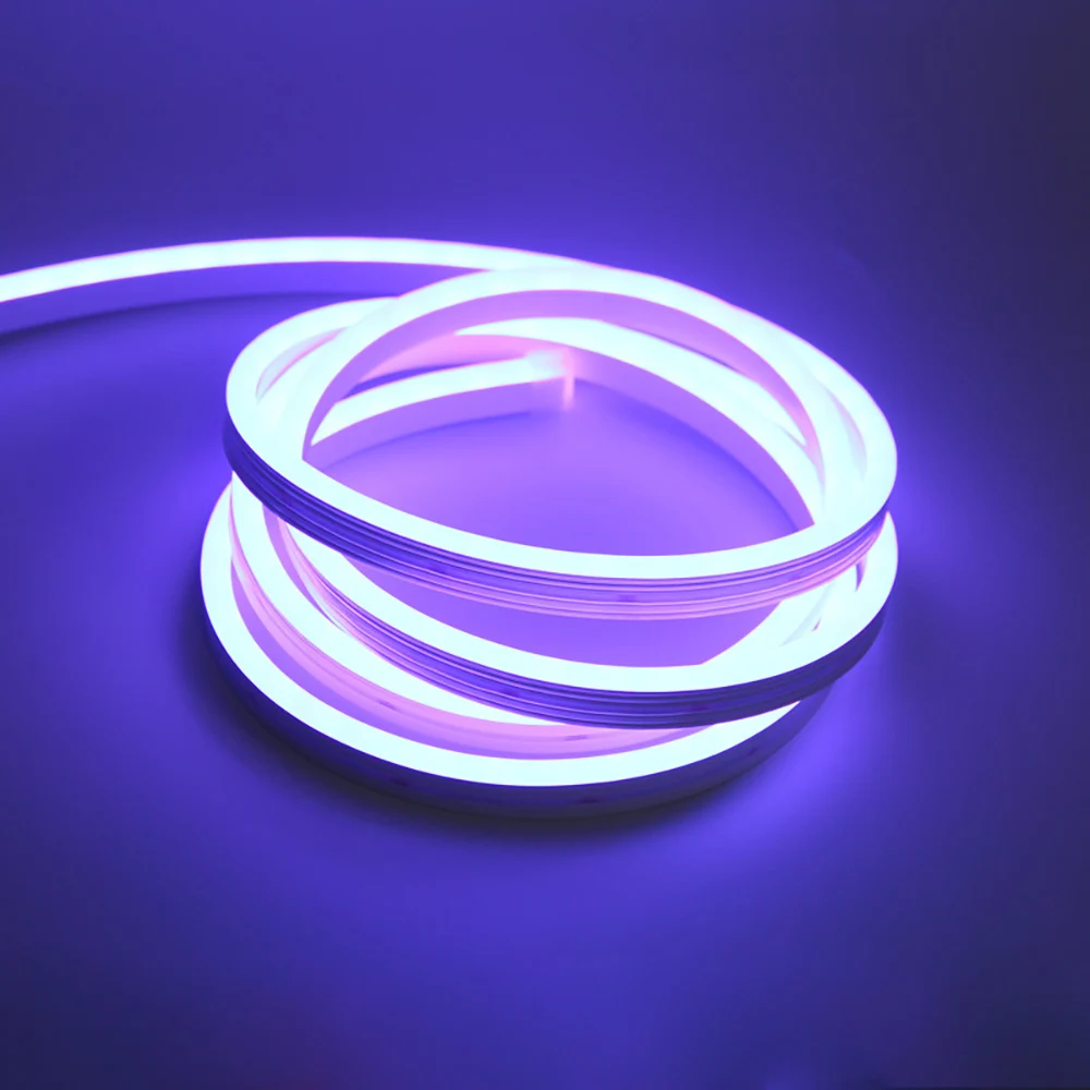 puple01.jpg