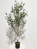 Green 120cm (Thin Trunk Version)