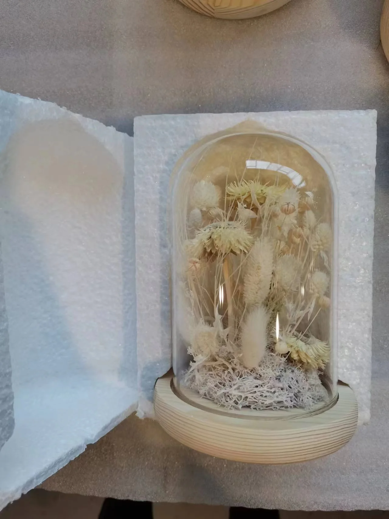 Soft Dream Exquisite Glass Dome Preserved Roses