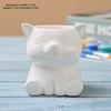 white twelve-kitten