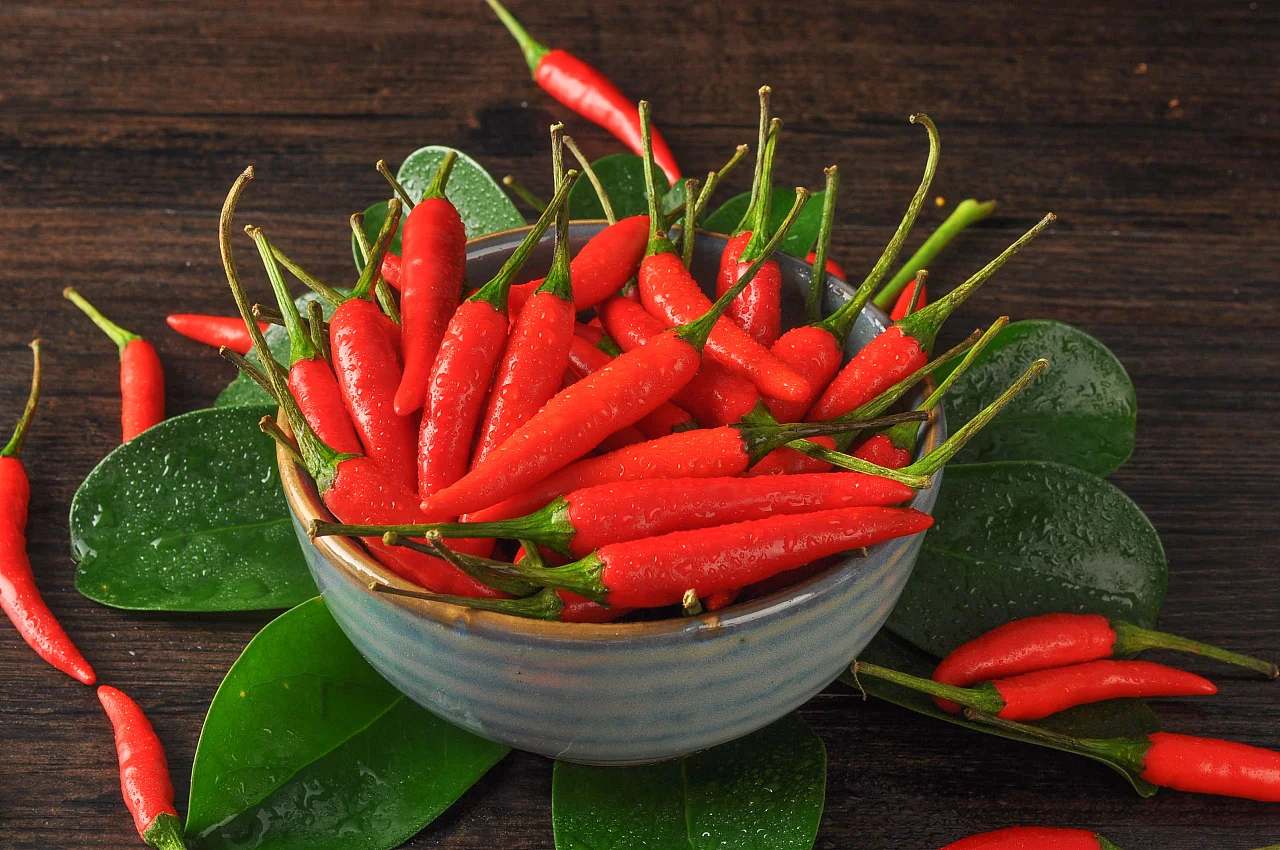 Chilli Seed Oil Extraction Machine Chilli Extract Oleoresin Oil