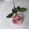 ชมพูและน้ำตาล