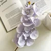 10-head display pattern phalaenopsis-light purple-1 stem