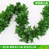 90-leaf gecko leaf [5 pieces]