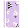 Herbe violette - Feuilles vertes, fleurs blanches