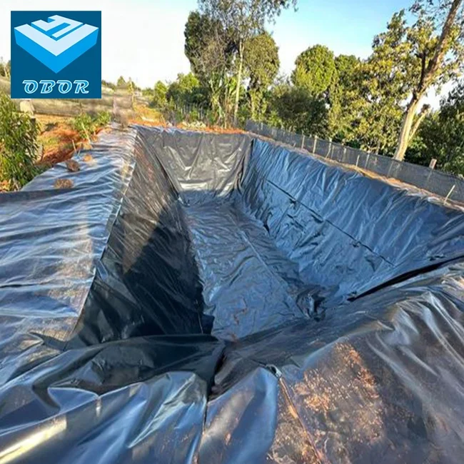 HDPE Geomembrane Sheet 1.5MM Price Bioflac Fish Farm Pond Liner Water